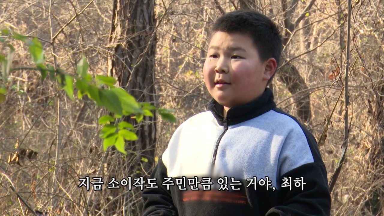 소이작도 소년의 꿈 1부