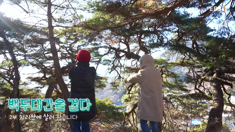 백두대간을 걷다 2부