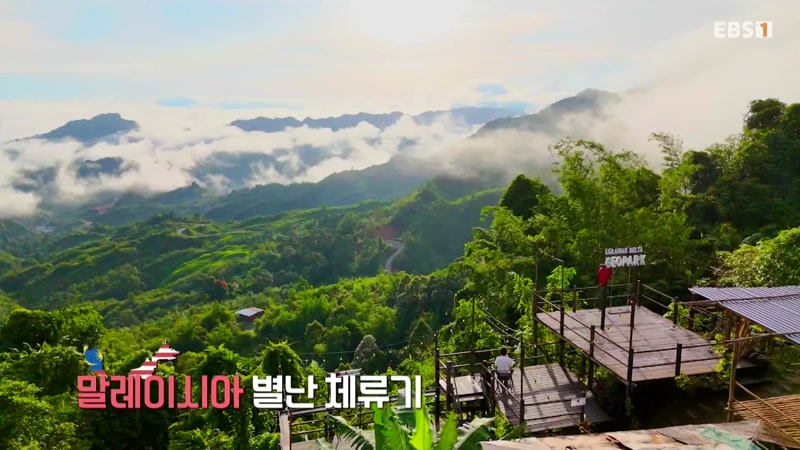 말레이시아 별난 체류기 4부