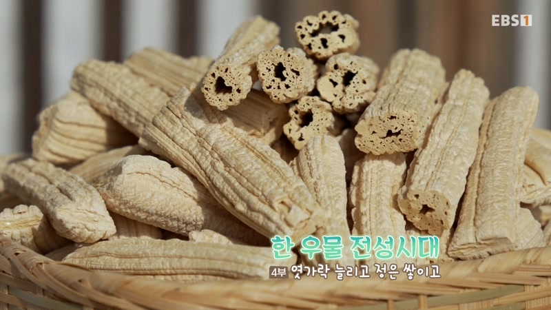 한 우물 전성시대 4부